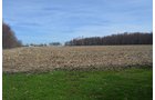 Property photo 136 - REAL ESTATE & PERSONAL PROPERTY AUCTION, 140 Acres offered in 8 Tracts or Combinations in Steuben County